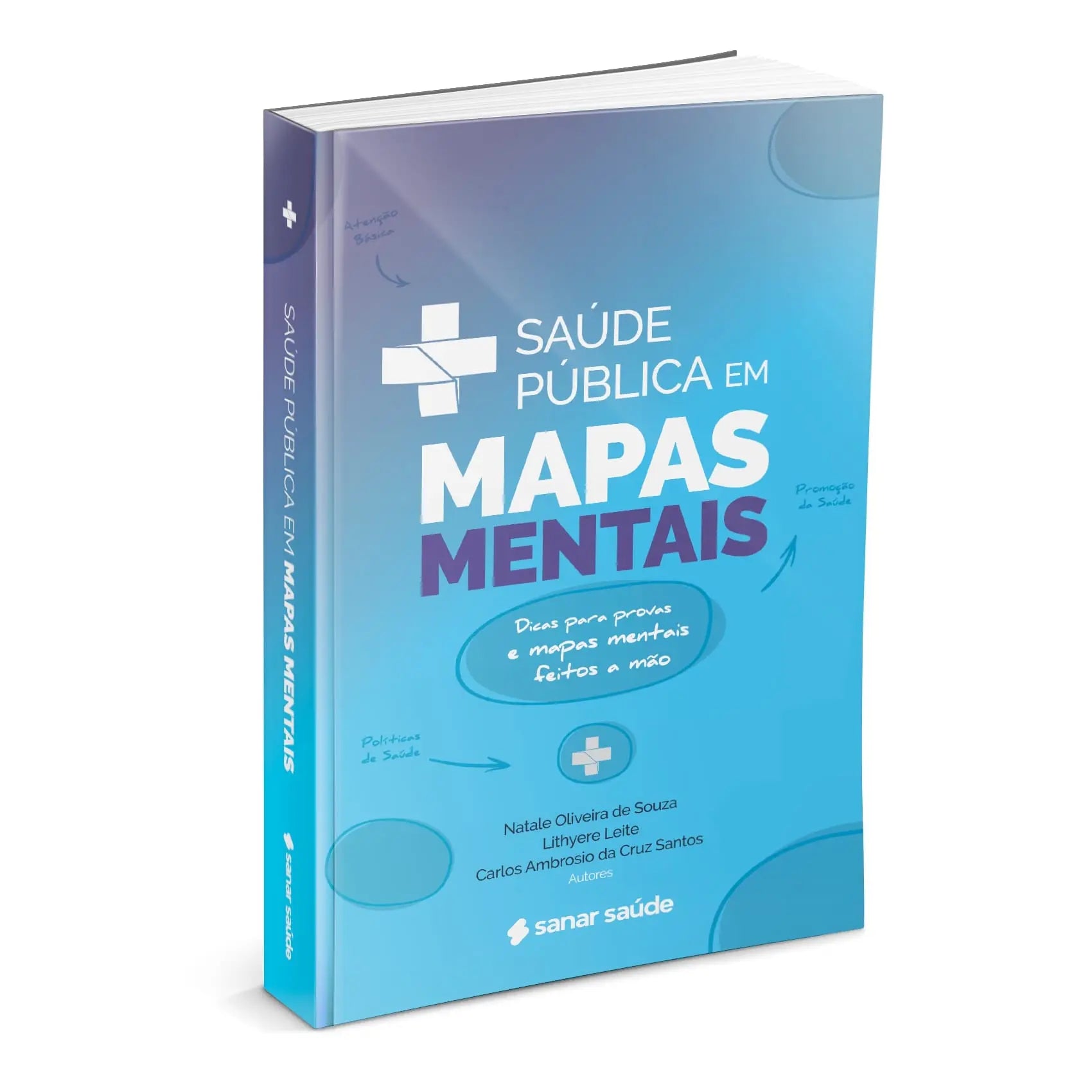 Imagem do livro Saúde Pública em Mapas Mentais